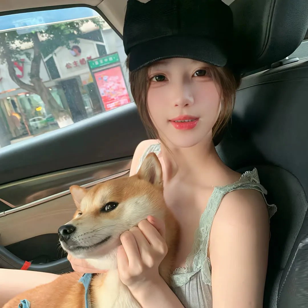 学会驾驶